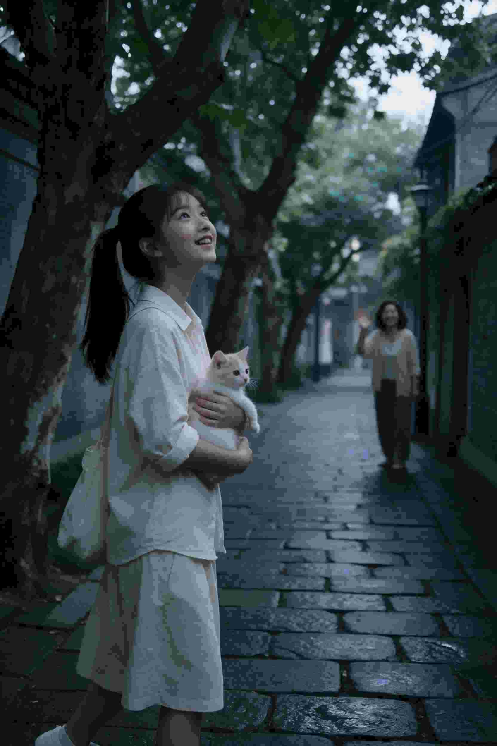 热血剧集